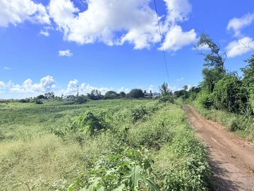 Residential Land