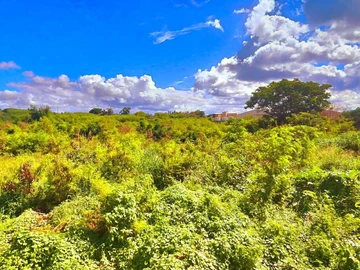 Commercial Land