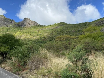 Terrain