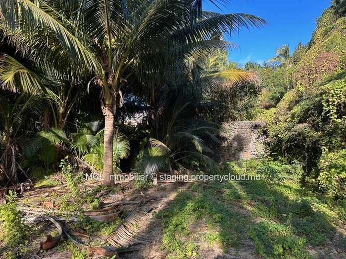 Rare Freehold Beachfront Land 