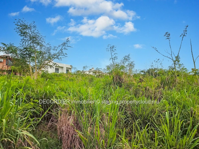 À Vendre Baie Du Tombeau Terrain Agricole