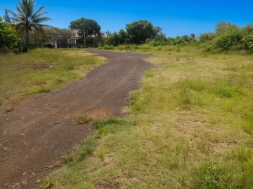 Commercial Land