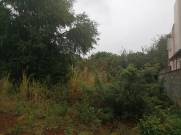 Terrain Résidentiel