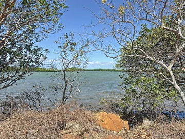 Land