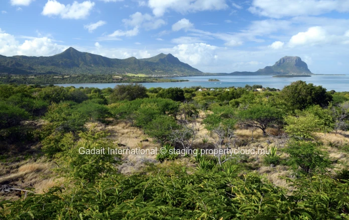 Villas luxueuses et écologiques avec jardins tropicaux à Rivière Noire, Île Maurice