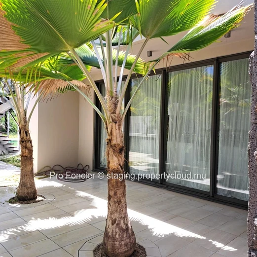 Villa à Anahita - Belle Villa Contemporaine