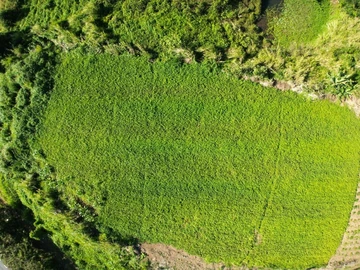 Agricultural Land
