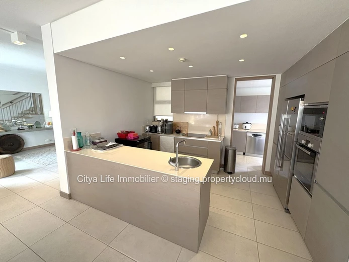 Villa SCS à vendre à Mon Choisy, 512m² habitables, 884m² terrain, 4 chambres, bureau, piscine privée. Prix : 1,850M €.