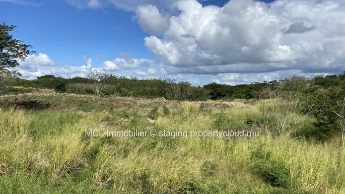 Terrain agricole d'un arpent à vendre à Anse la raie