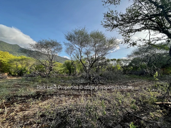 Rare Development Opportunity – 3,540 m² Plot for Up to 3 Single-Storey Villas in Domaine de Palmyre