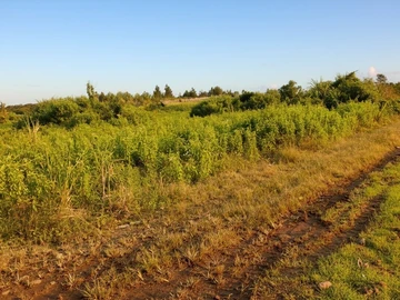 Terrain Agricole