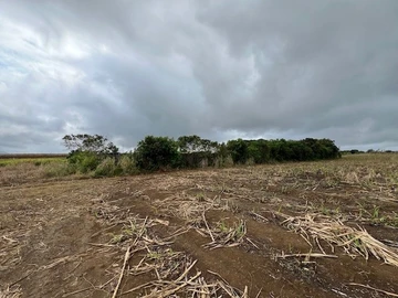 Agricultural Land