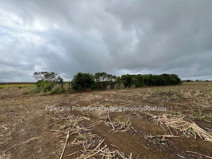 Potentiel de Transformation : Terres Agricoles de Trianon Près de l'Autoroute vers Verdun