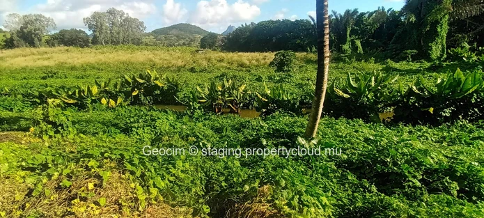 D'Epinay close to Pamplemousse Agricultural freehold plot of land 18572 sqm. River. Lichtis plantation. Water & Elect... (Sole Mandate)