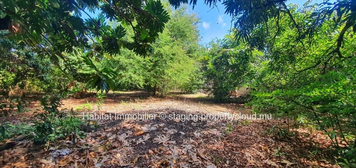 Spacious residential plot of 1 arpent 10 with an existing house of 250 m², ideally located in Sottise, just minutes f...