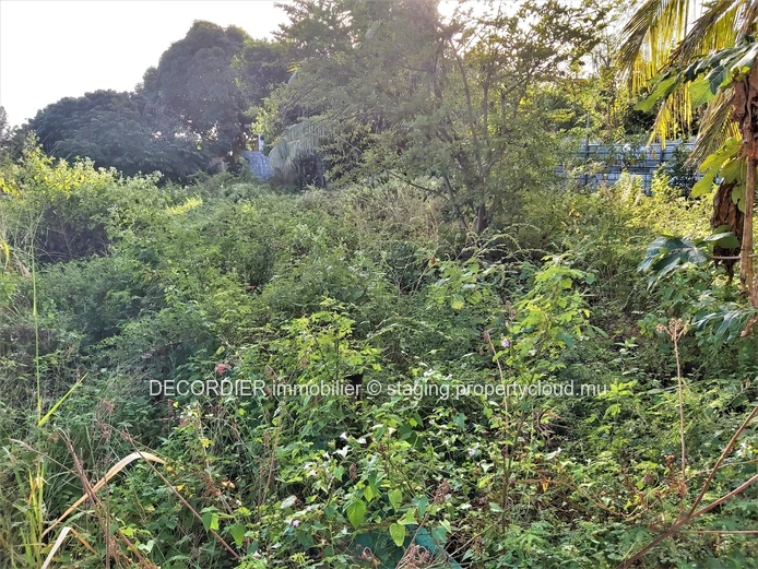 Residential land near the highway (Sole Mandate)