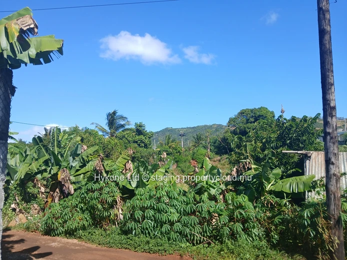 Agricultural Land For Sale In Bois Pignolet, Terre Rouge