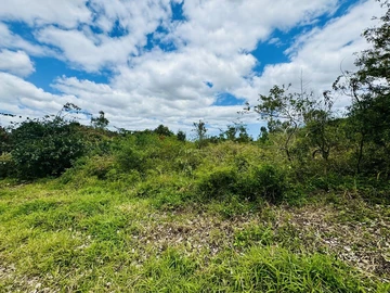 Agricultural Land