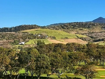 Agricultural Land