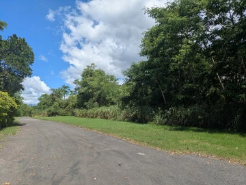 Agricultural Land