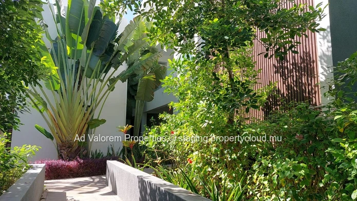 Unique Opportunity - Stunning 3-Bedroom Beachfront Apartment in Poste Lafayette (Sole Mandate)
