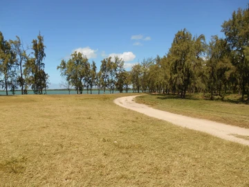 Land