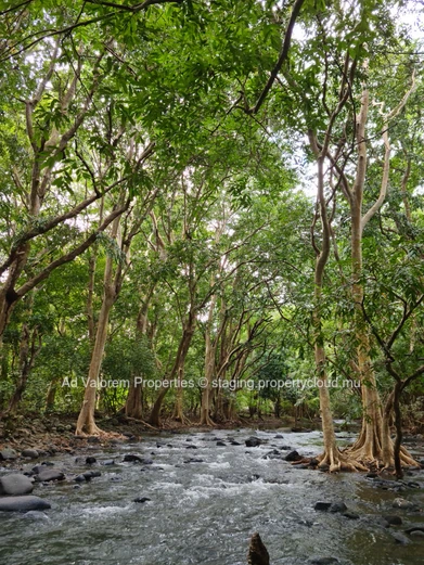 Residential land for sale in Tamarin 