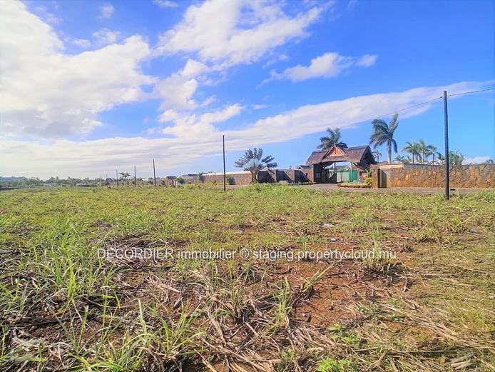 Magnificent land for real estate development / investor