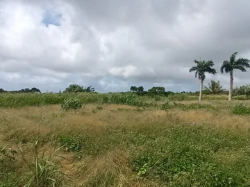 Agricultural Land