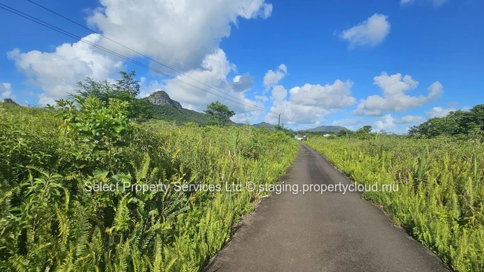 Agricultural Land for Sale - Morcellement - Montagne Blanche