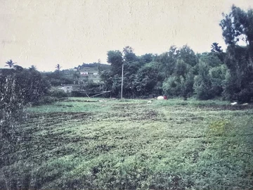 Land