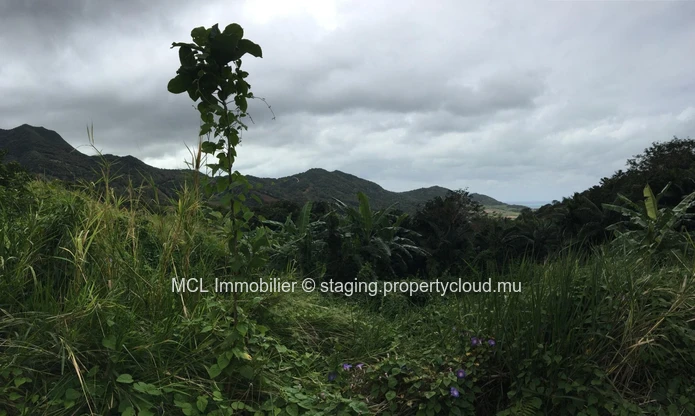 Terrain agricole de 9 arpents 42 perches  à Anse Jonchée