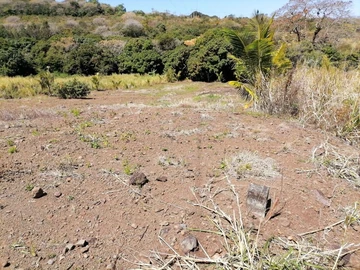 Agricultural Land