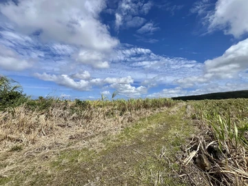Agricultural Land