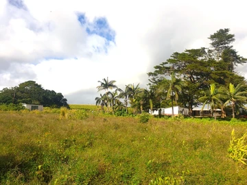 Land