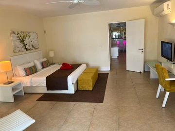 3 Bedroom Penthouse