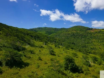 Agricultural Land