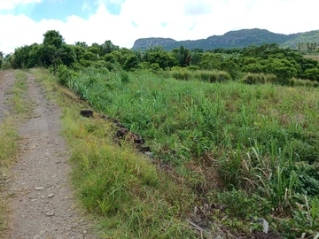 Agricultural Land