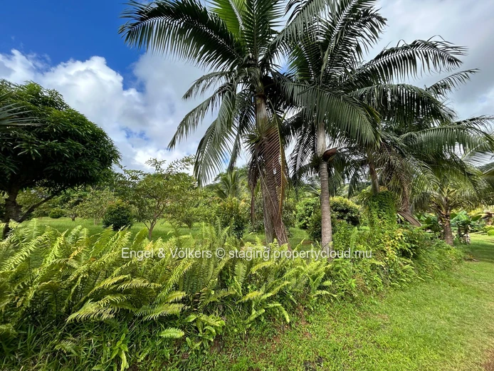 Commercial Land for Sale in Montagne Blanche — A Unique Investment Opportunity