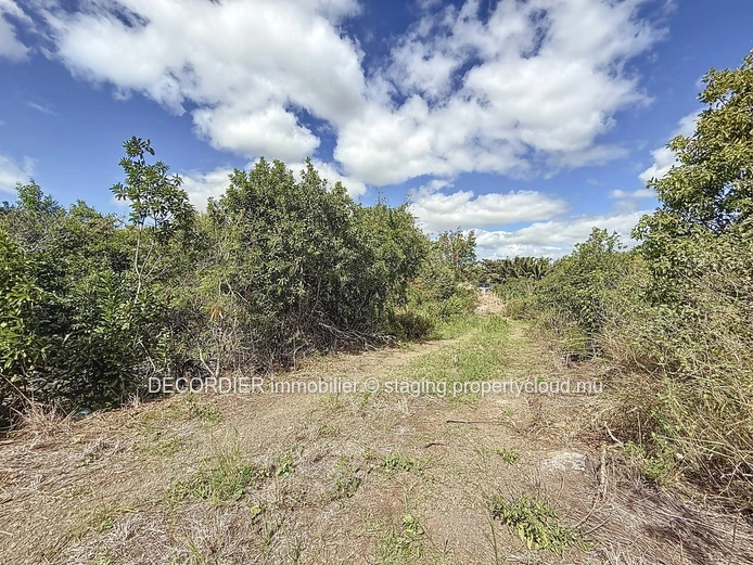 Land for sale – Pereybere