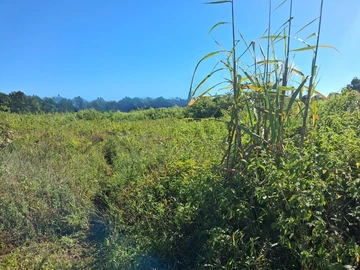 Terrain Agricole