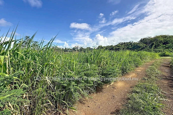 Residential Land for Sale – Grand Gaube