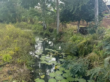 Commercial Land