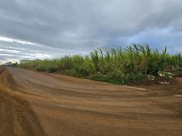 Terrain