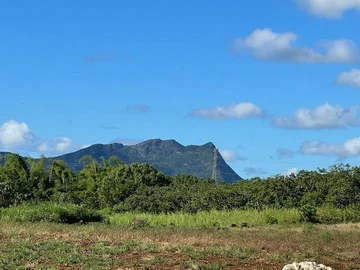 Agricultural Land