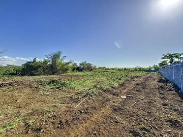 Terrain
