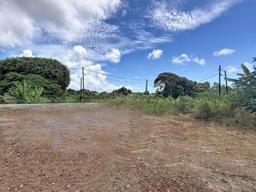 Terrain