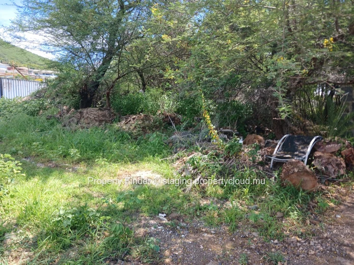 Land - For Sale - Black River