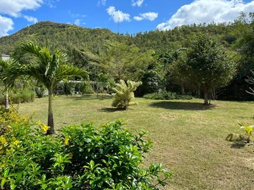 3 Bedroom Villa