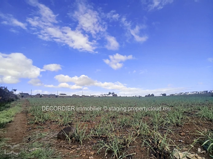 Magnificent land for real estate development / investor